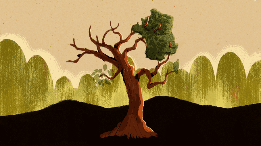 Forêts en péril : l'effondrement du poumon vert menace