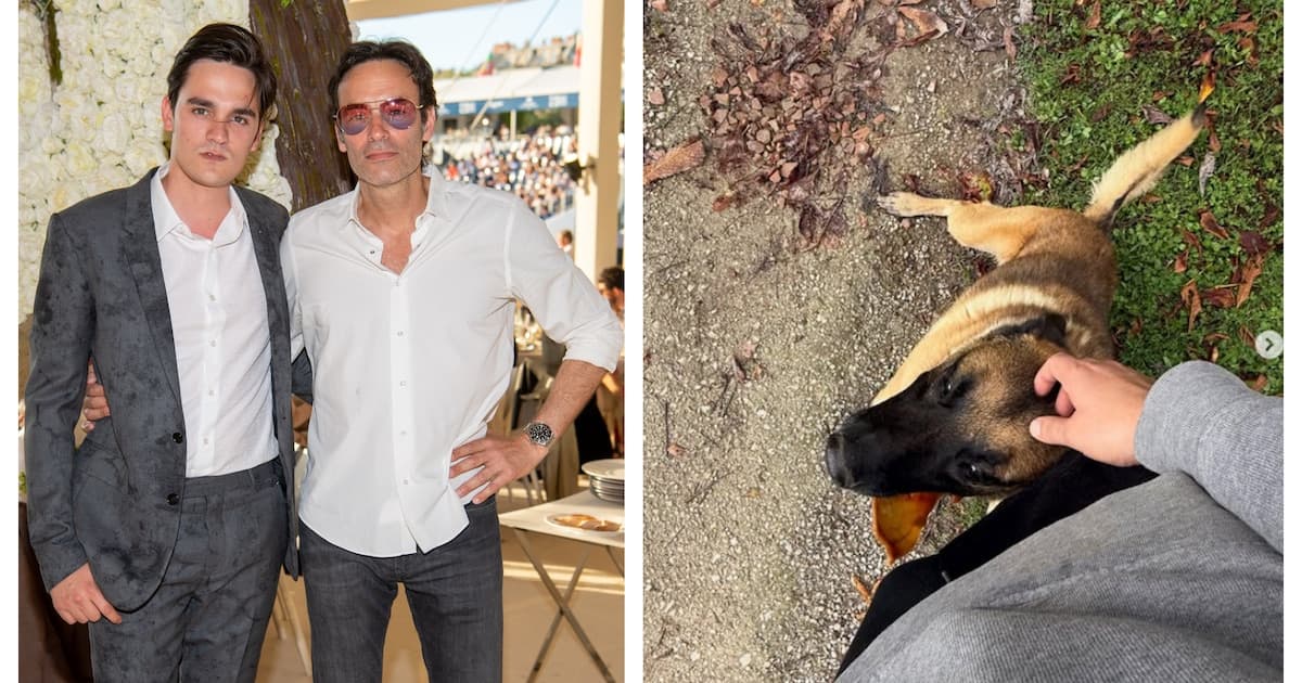 Tragédie familiale : un chien sacrifié révèle les plaies